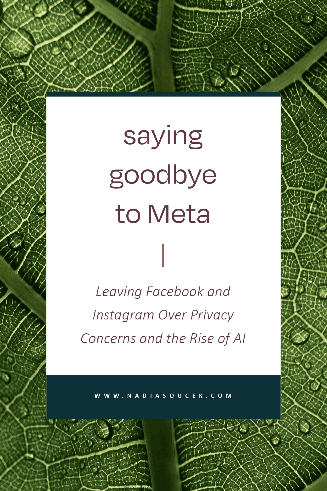 Saying-Goodbye-To-Meta-Story